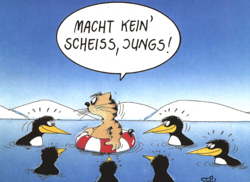 Katzen und Pinguine
